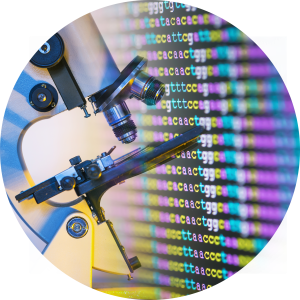 O diagnóstico é obtido em cerca de 15 dias, logo os embriões obtidos na FIV e selecionados, devem ser congelados e transferidos apenas em ciclos consecutivos ao tratamento da FIV, quando já de posse do resultado do teste do ERA, indicando o período em que o útero estaria receptivo.