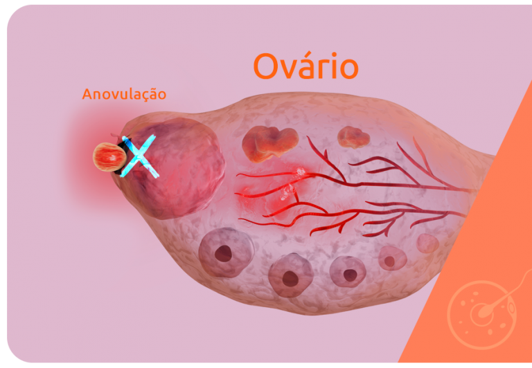 O Que é Ovulação E Qual A Relação Com O Período Fértil Art Fértil